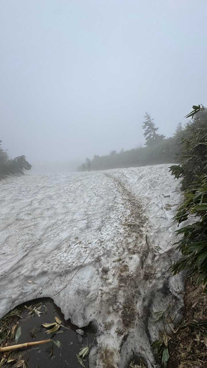 八甲田山（大岳・井戸岳・赤倉岳）／青森遠征Day2 の写真 10