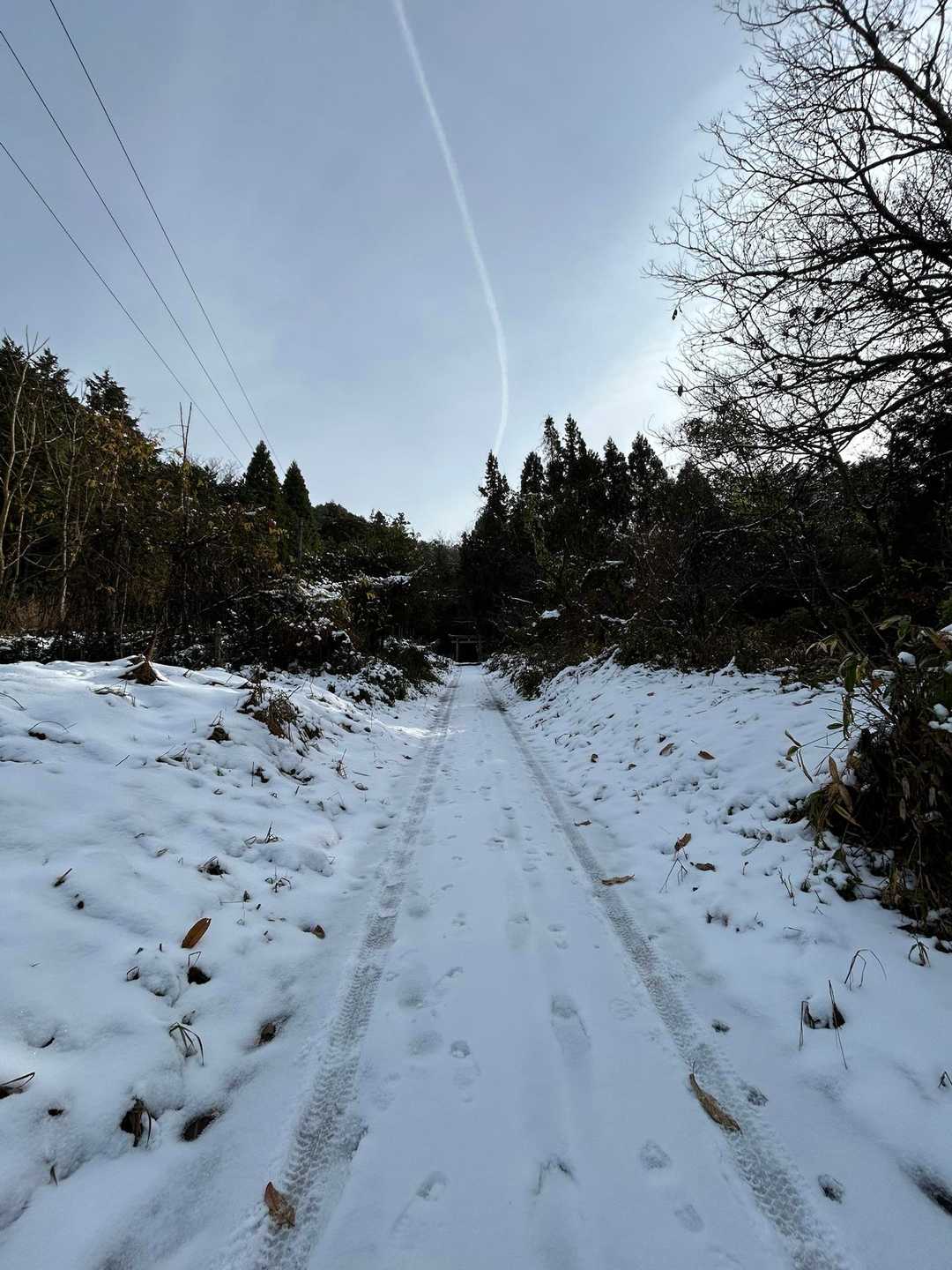 三角山 往復コースの写真