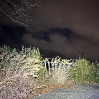 青山山頂。
無線基地だそうで入れません。
登るより眺めた方が良いお山ですね😅
暗闇のゲートも怖いです🙀
