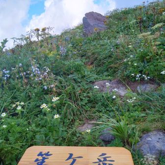 笙ヶ岳登頂！お花畑