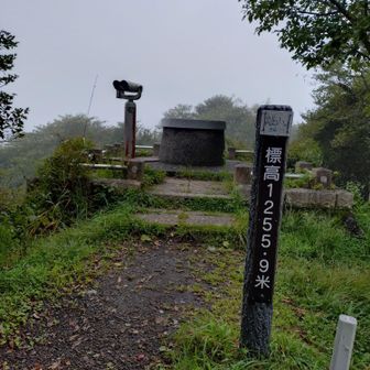 離山山頂..
西口登山道からスタートしたのですが、近日中に登山者が居なかったためか、なかなかのクモの巣トラップだらけで、山頂に着くまでに、自分マユ玉になってしまうんではなかろーか?と心配になるほどクモの巣地獄でしたw