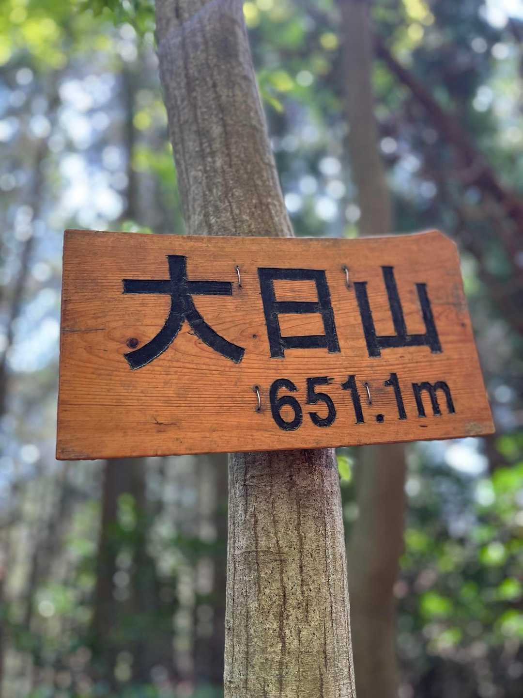 風頭山-大日山 往復コースの写真