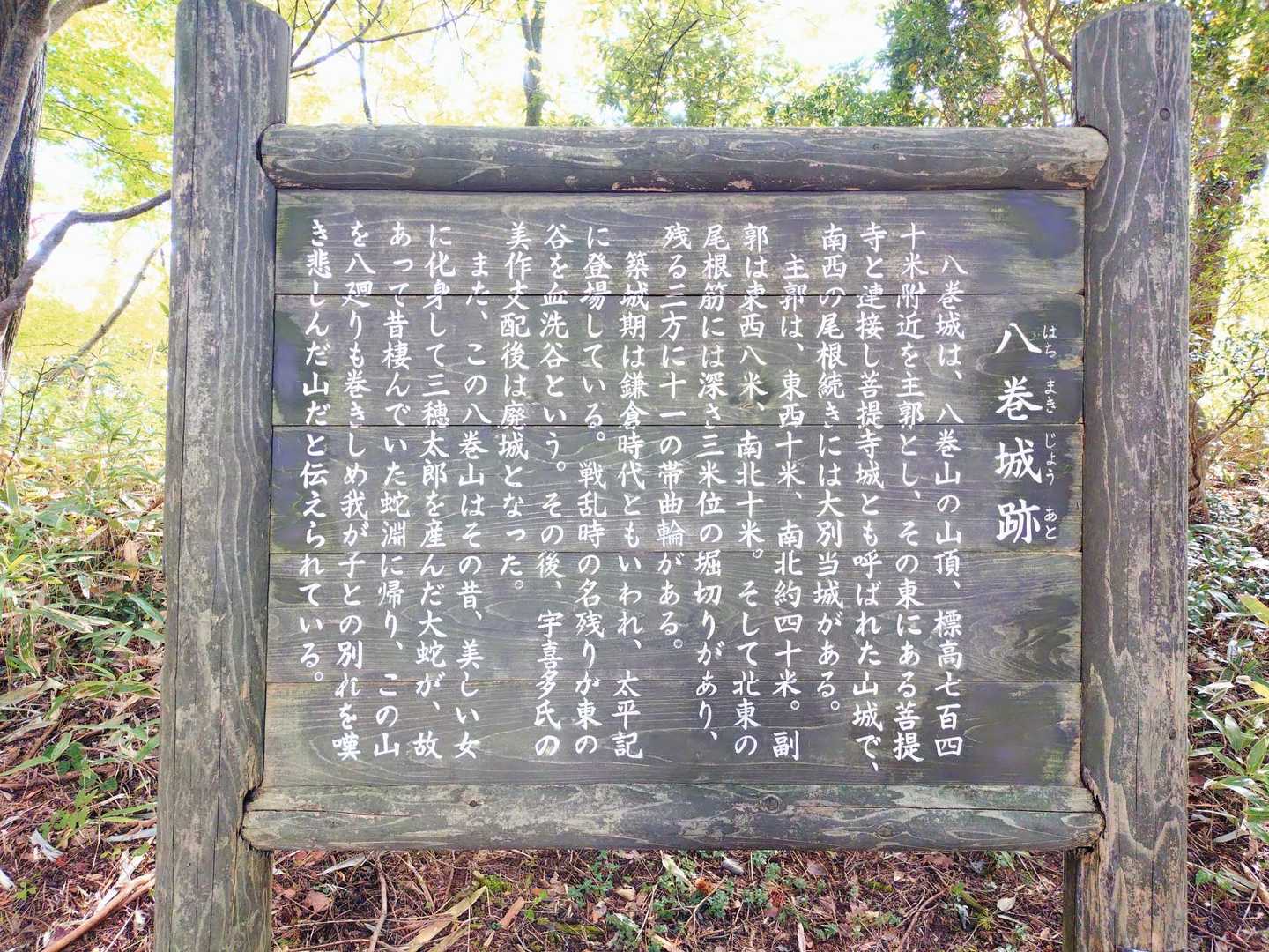 八巻山の山頂看板はナシ
ここが山頂ってことで😁