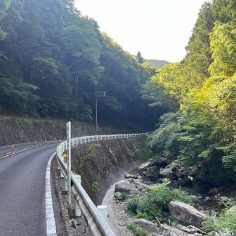 滝畑駐車場から少し車道を歩きます