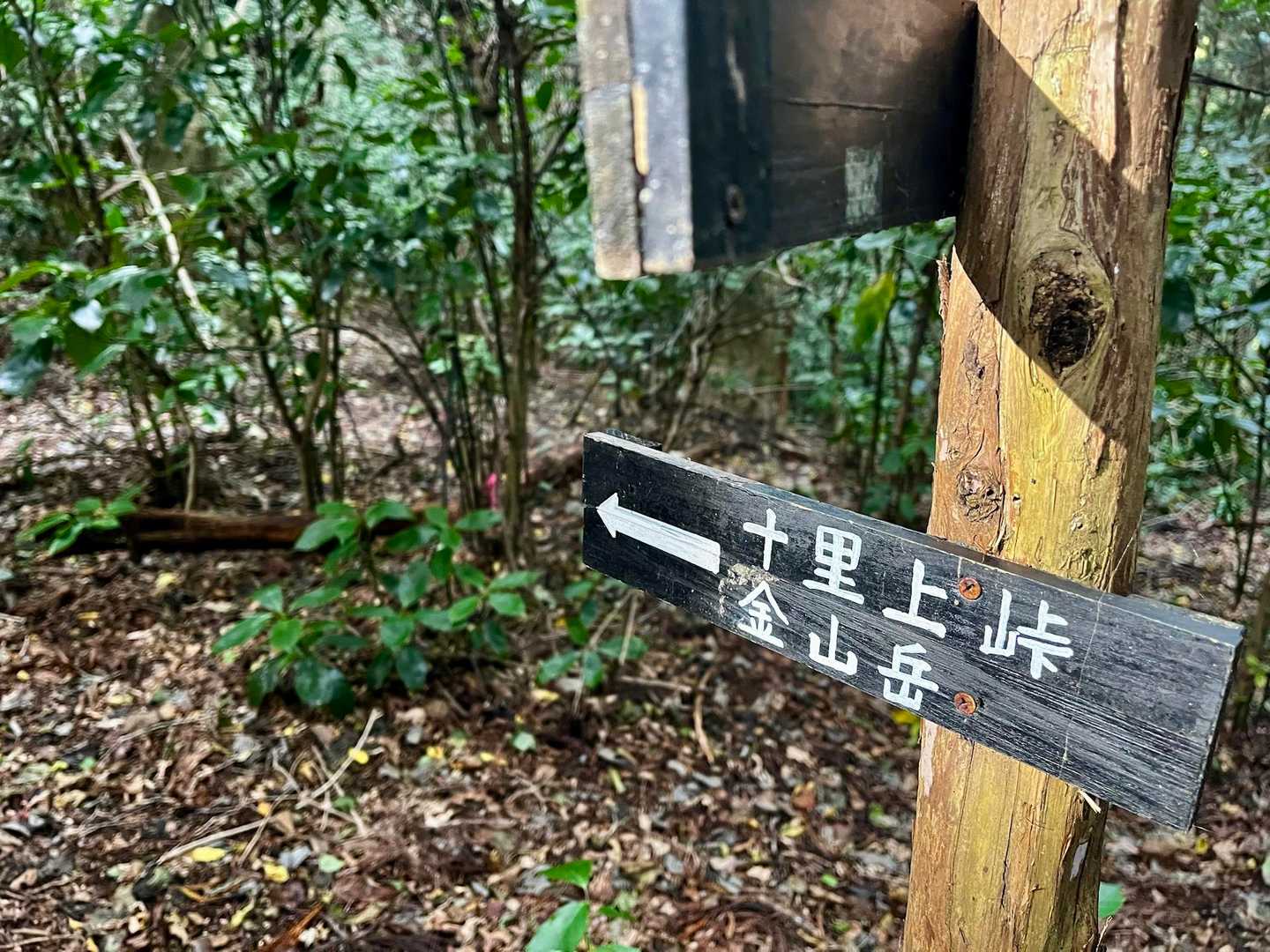 周回して金山岳通って下山します