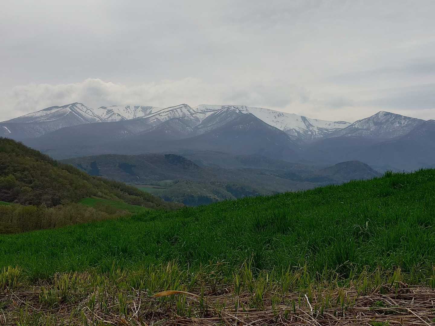 青麻山登山口-あけら山-青麻山 往復コースの写真