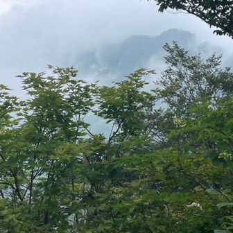 白山方面はガスの中🌫️みたいだし
とりあえず進みながら考えよう😰