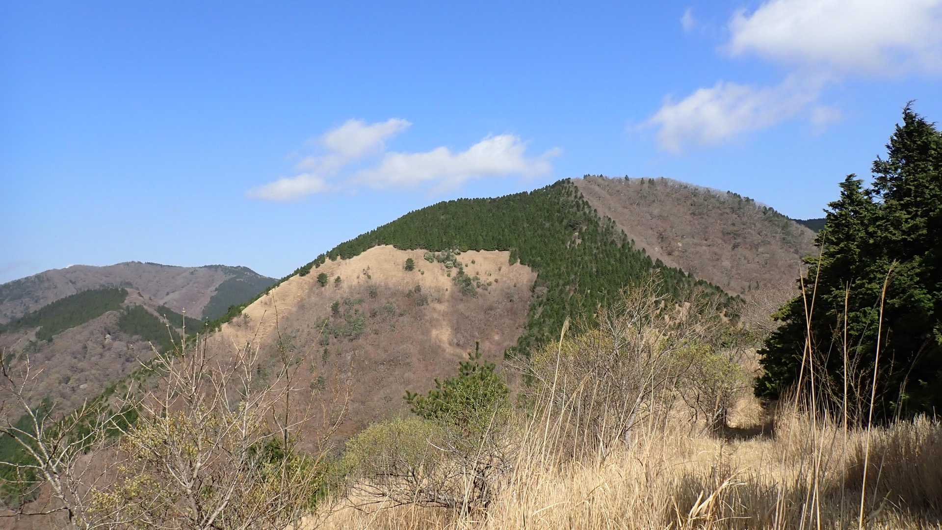 お天気よし