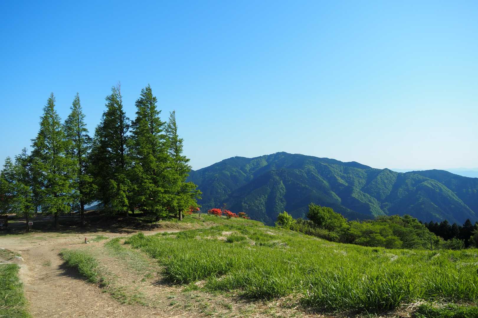 水越峠バス停-水越峠-葛城山 往復コースの写真