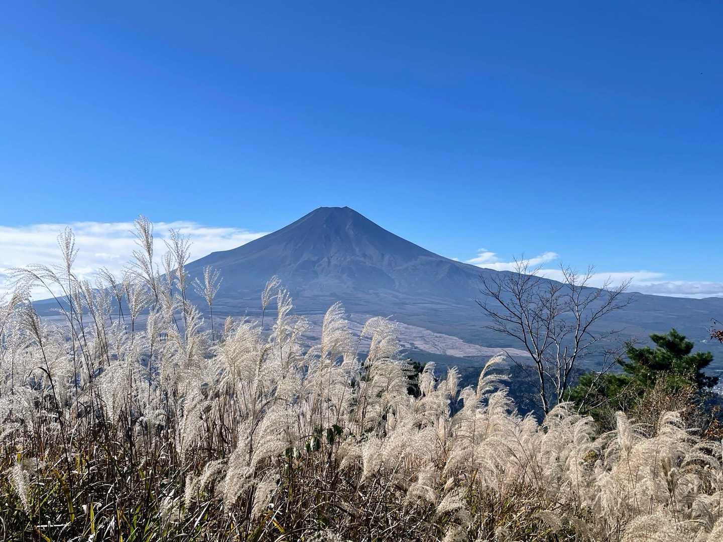 その場所からの富士山🗻です。だいぶ高度を下げたので、富士山の印象も変わってきますね😄