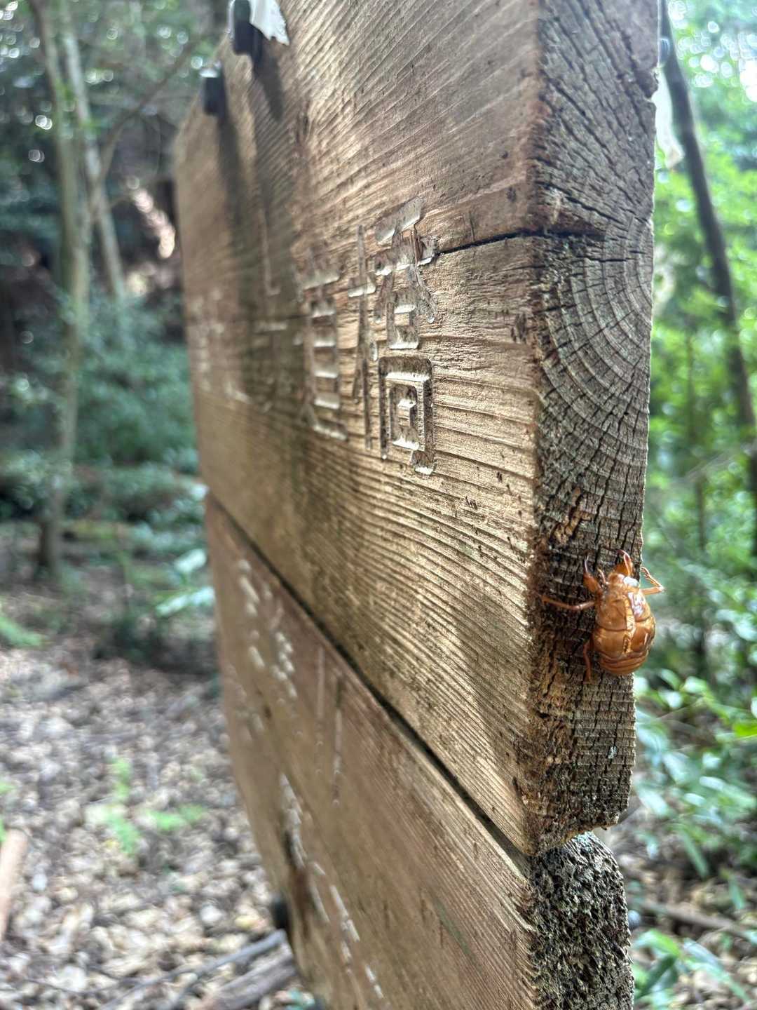 下りで休憩入れたのは初めてかも。きつかったー