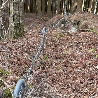 こんなところにも鎖があって優しい☺️
しかもわりと新し目