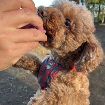 #❤️#
やっと会えた🥰嬉しいよぅ〜

山頂でこの子に癒された🐾
ふわふわで気持ちよかった〜☺️
また会いたいな。