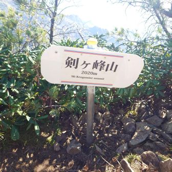 ふぅ、やっと着いたって感じです(^_^;)