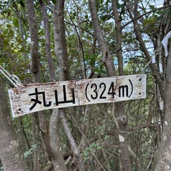 丸山▲③