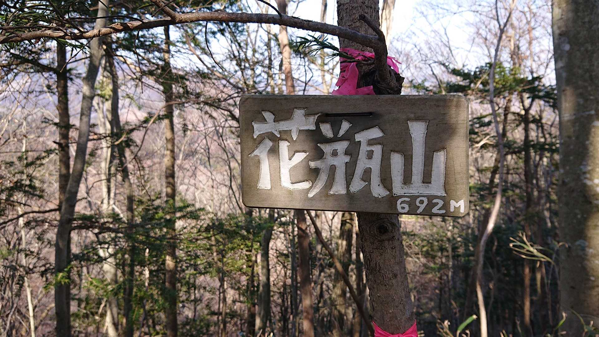たくさんあるうちの山名板の一つ
