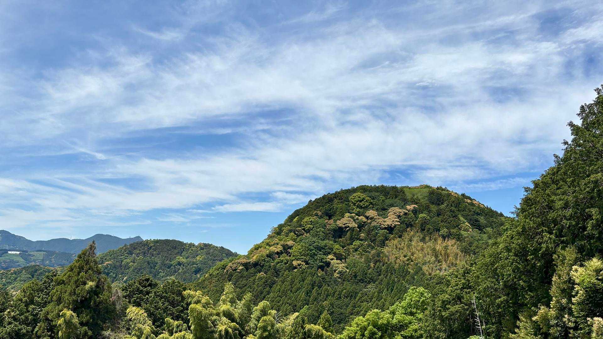 矢倉山 往復コースの写真