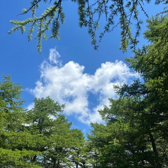 ハート♡？かくれミッキー🐭？の雲発見☁*