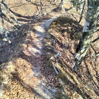 痩せ尾根さん、ザレていてもおじさん平気だよ✌️