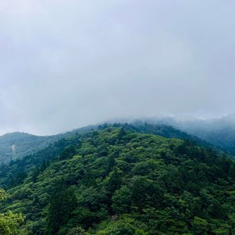 どんより雲☁️の中には鎌ヶ岳だそう