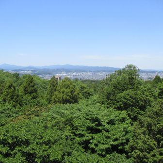 展望台から左奥に武甲山、手前中央やや左に駿河台大学