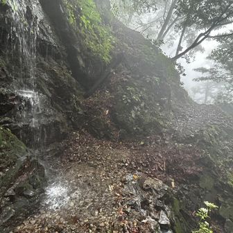 小さな滝の横を通る