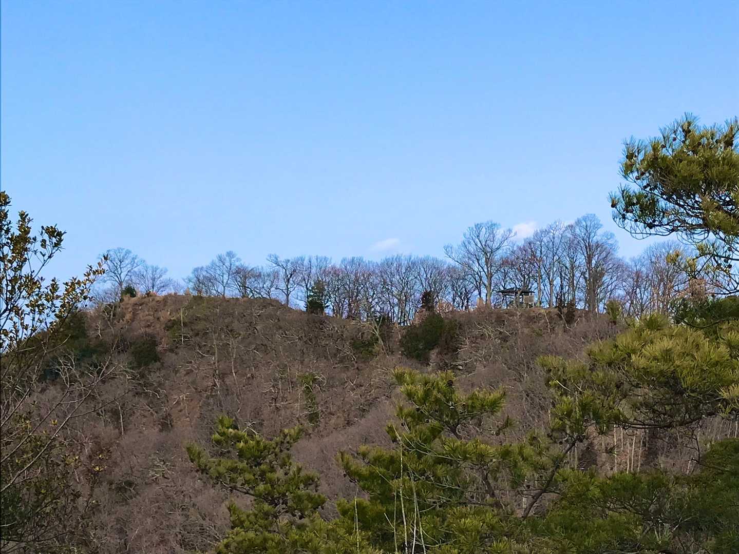 左手が山頂、右手が東屋
