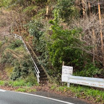道路を渡って孔大寺山を目指します