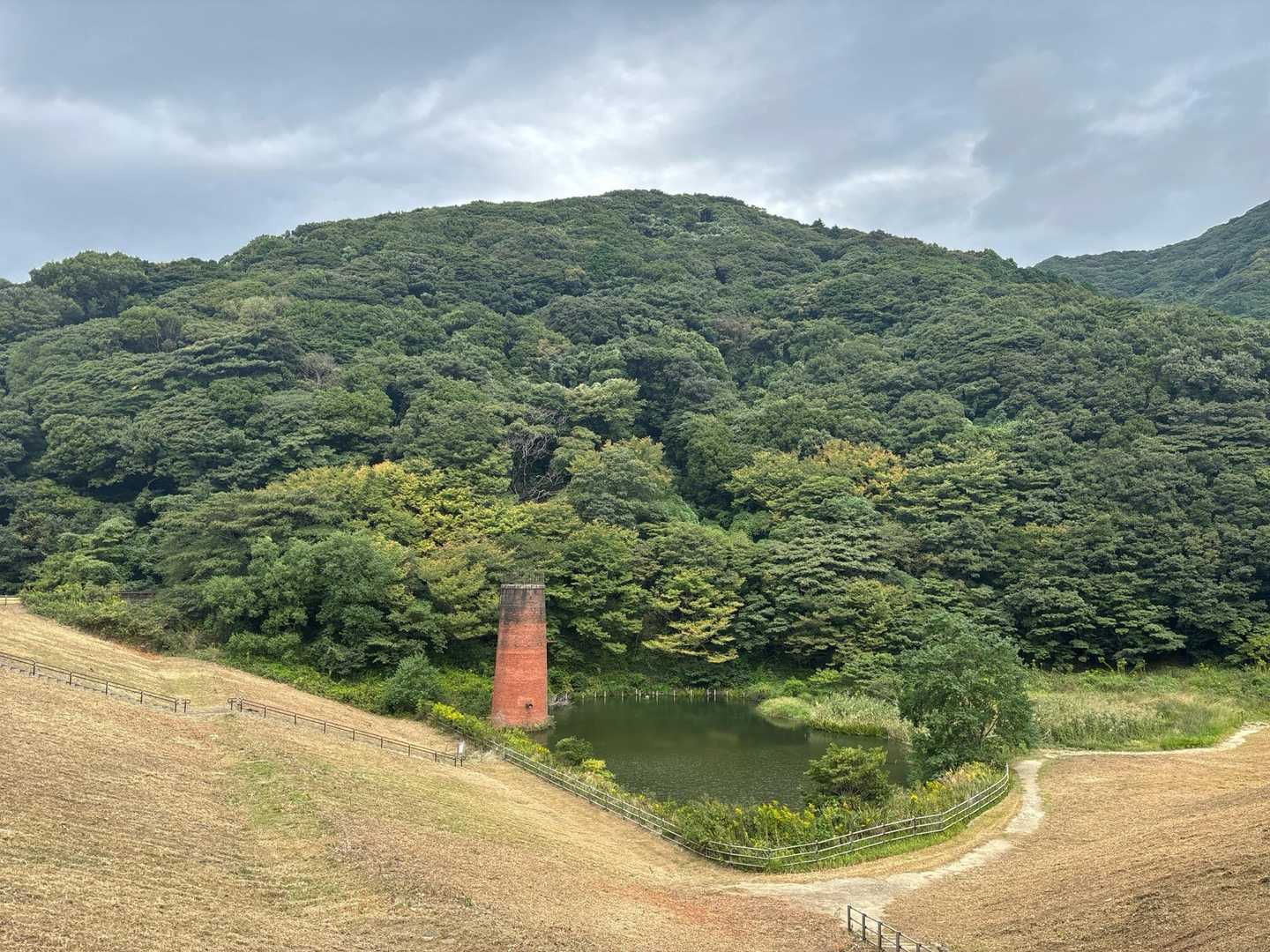 綺麗に刈られて、貯水池がしっかり見える。