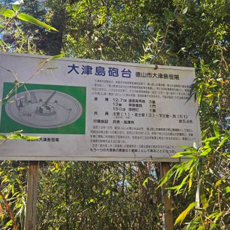 そして ｢大津島砲台跡｣(大津山)に到着
※う～ん 頂付近の藪化が懸念されるな～ → これは残念…