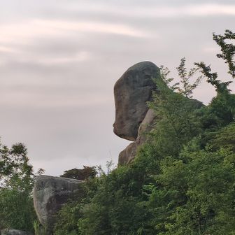 ゴリラ岩