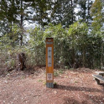 今熊山に到着、神社があるけど寄らないよ。
あとはもう、(何となく)覚えてる道だ！
ひたすら降れ！走れー！