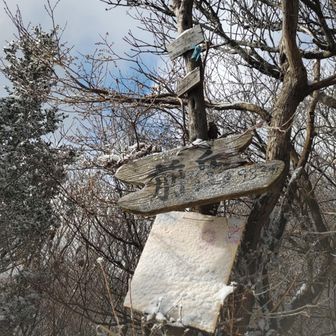 前岳 到着🏔＊𓂃⟡.·
   983M