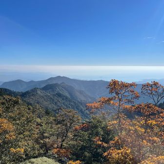 紅葉のピークは来週かなー