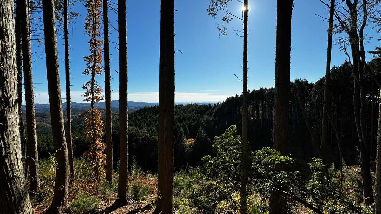竪破山・胎内石・太刀割石〜奈々久良の滝 の写真 29