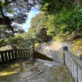 駐車場🅿️まで車で上がってくる人、結構いた
この先に🅿️があるらしい