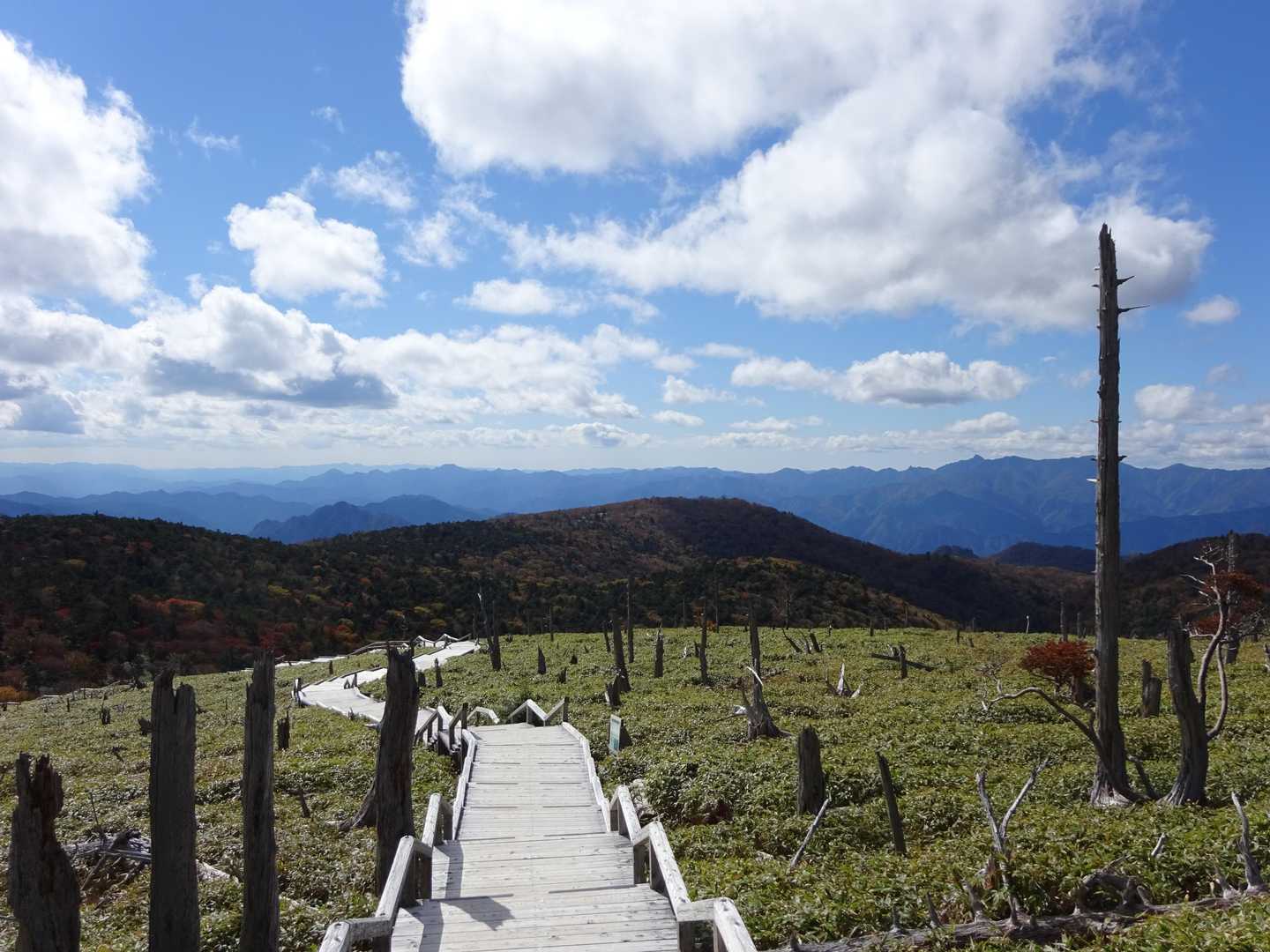 大台ヶ原バス停-大台ヶ原山-尾鷲辻-大蛇グラ 周回コースの写真