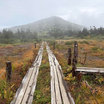 仙人岱
小岳がみえてます⛰️