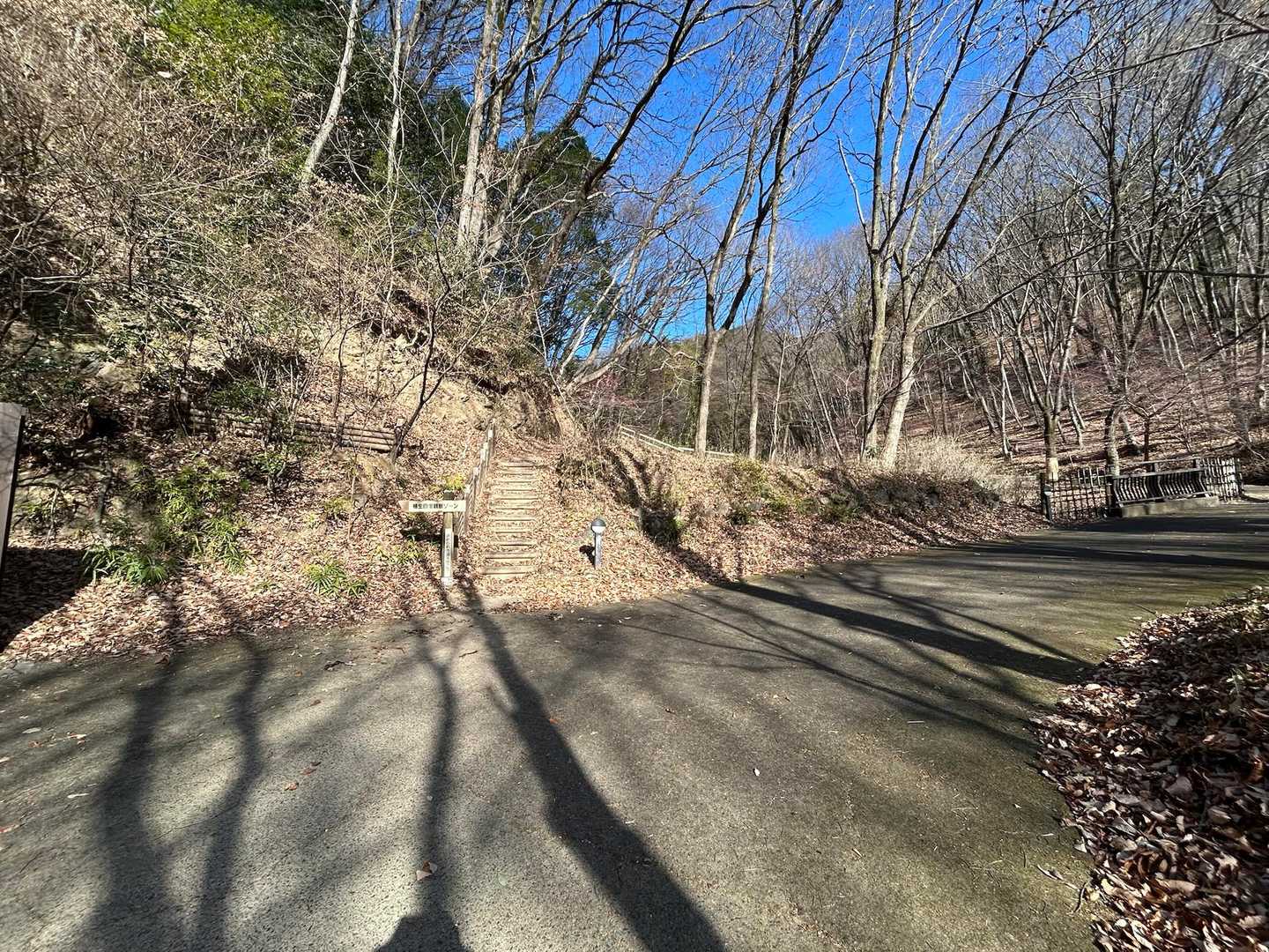 戻ってきました