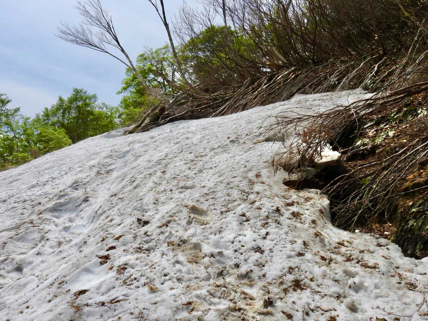 雪渓は２ヶ所あり　ツボ足で大丈夫ですが、下りは注意してください⚠️