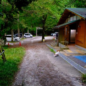  一ノ鳥居まで戻ってきました⛩️