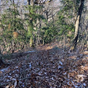 滅茶苦茶滑ります💦