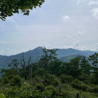 主脈が見えますね
蛭ヶ岳、丹沢も見えます

先ずは蛭ヶ岳ですね