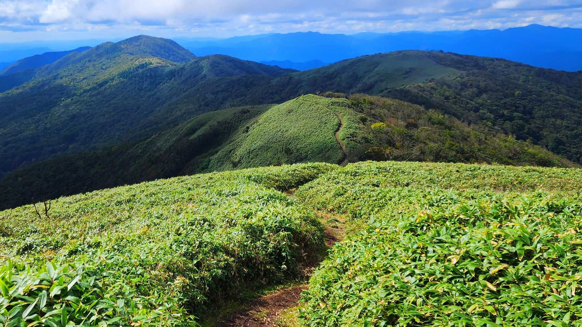 那岐山登山口-滝山-那岐山 周回コースの写真