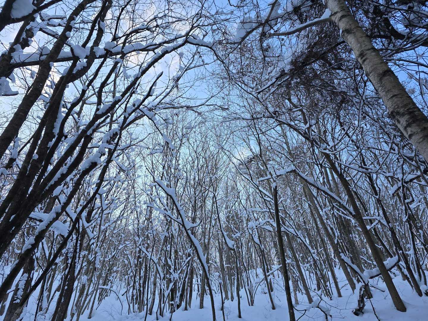 今日は景色が見れそう
