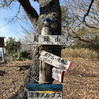 鷲頭山、ここまでの登り、辛かったぁーーーー!!!