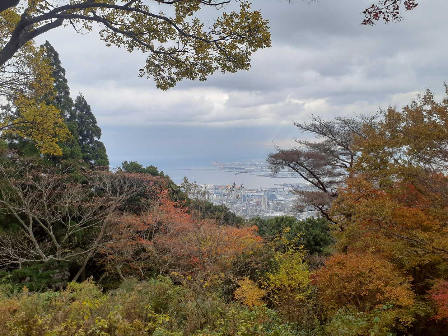 新神戸駅-滝山城跡登山口-上野道登山口 縦走コースの写真