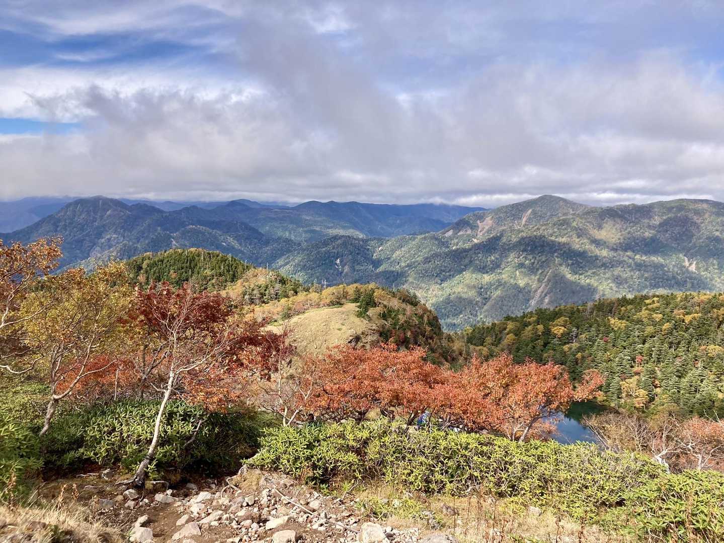 今が見ごろな方々🍁