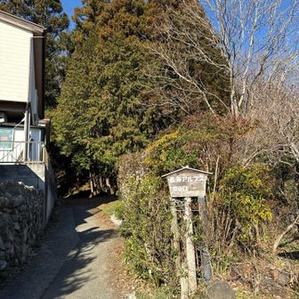 登山道に到着。さー行こう