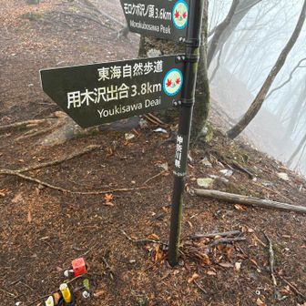 先まで行く予定でしたが、
雨足が強く断念😭